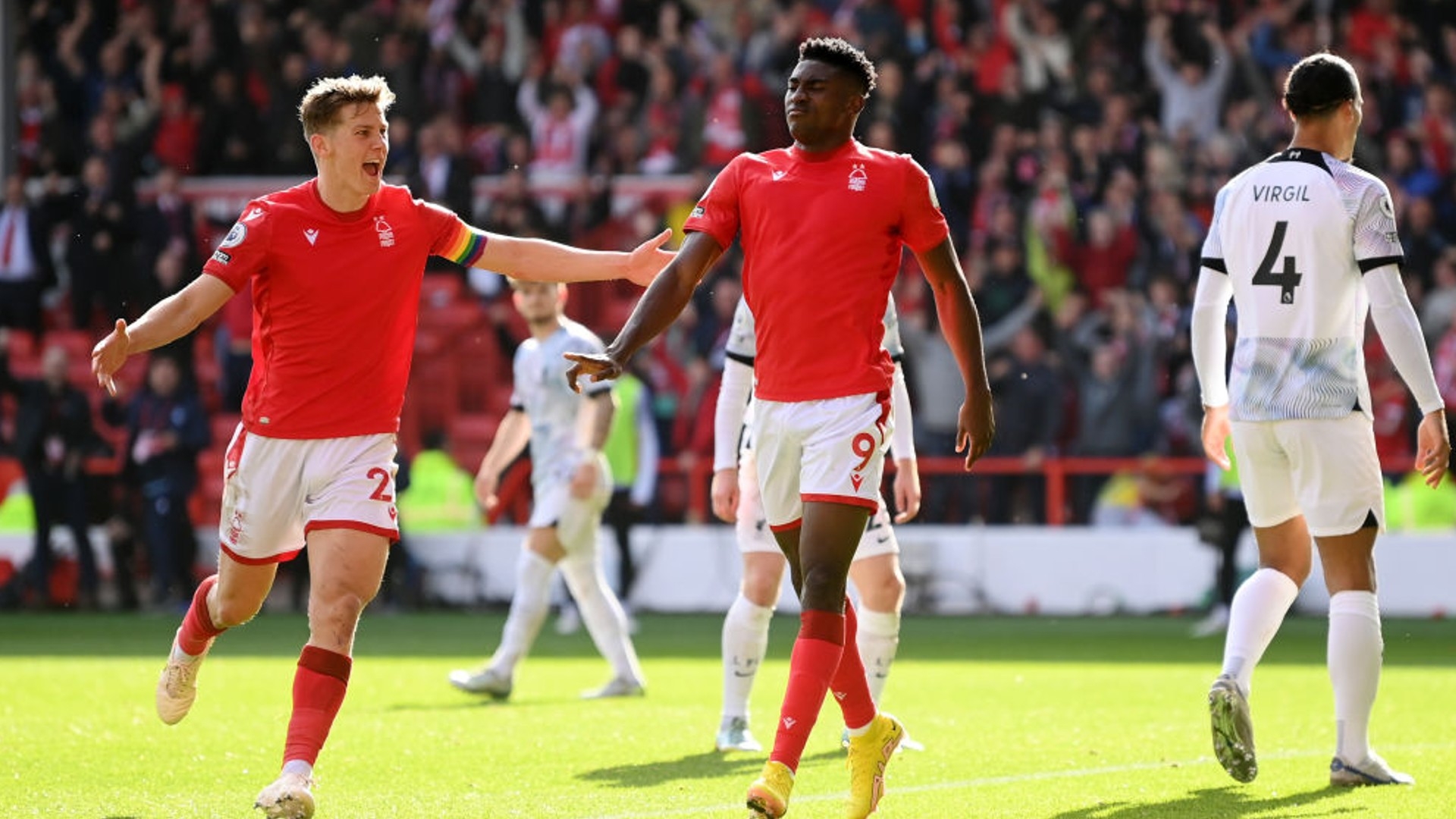 动的新宠 动的新宠